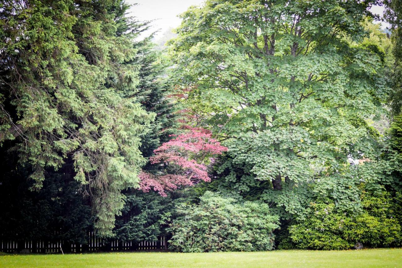Benoch Lomond Castle Apartman Alexandria Kültér fotó